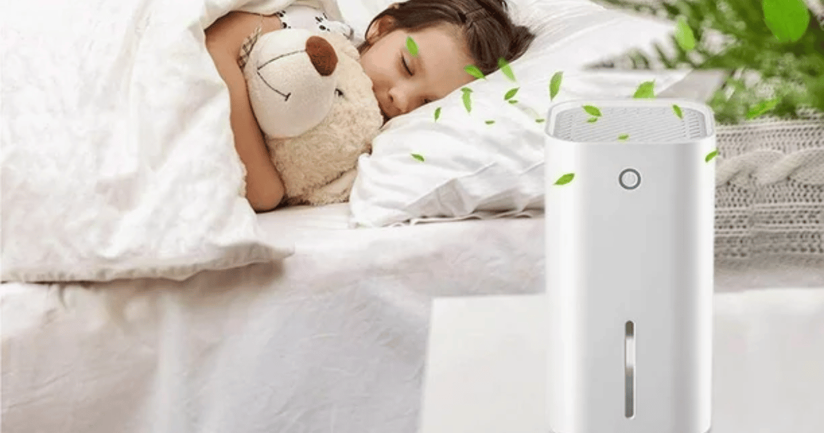 How Dehumidifiers work and What they do triptisales.in