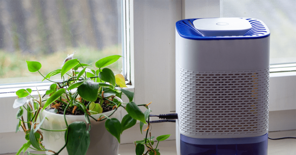 Dehumidifier Benefits, Side Effects, and When and How to Use Them