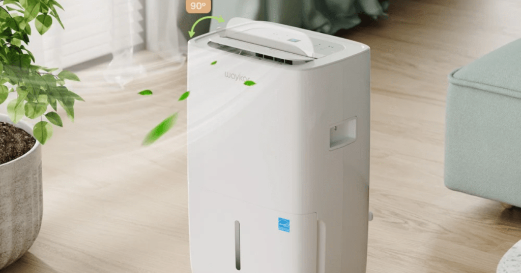 Choosing the Right Dehumidifier for Your Space_ A Comprehensive Guide