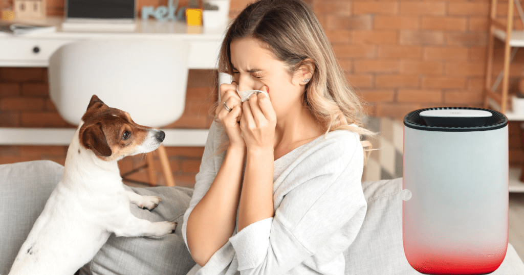 Dehumidifiers for Health Impact on Allergies and Respiratory Conditions