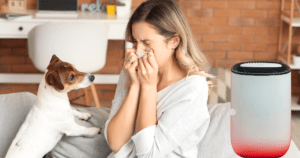 Dehumidifiers for Health Impact on Allergies and Respiratory Conditions